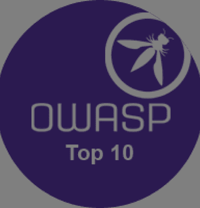 OWASP Guides